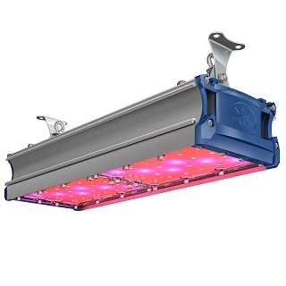 Фито светильники